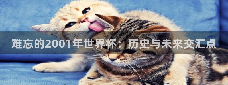 2026足球世界杯赛程时间表:难忘的2001年世界杯:历史与未来交汇点