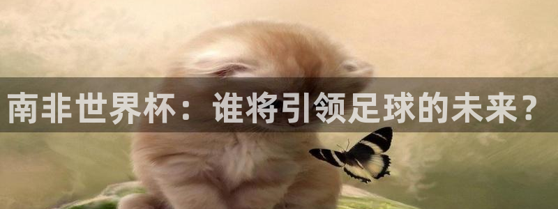 欧洲世界杯预选赛:南非世界杯:谁将引领足球的未来?