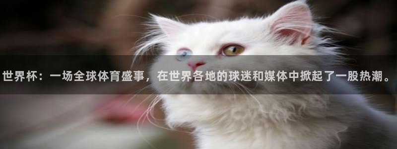 足球世界杯预选赛:世界杯:一场全球体育盛事,在世界各地的球迷和媒体中掀起了一股热潮。