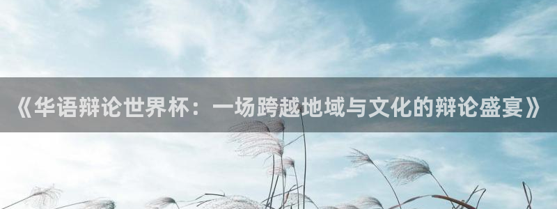 2026男足世界杯赛程:《华语辩论世界杯:一场跨越地域与文化的辩论盛宴》