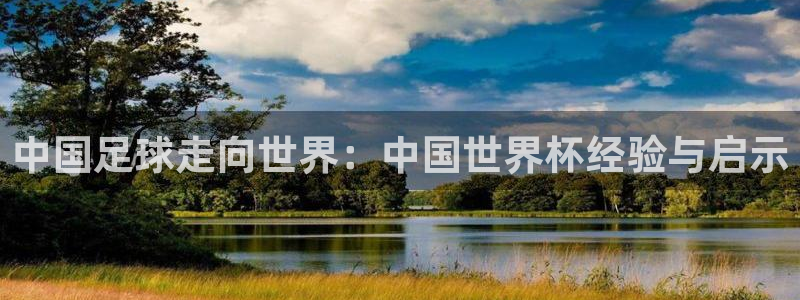 世界杯对阵图2026:中国足球走向世界:中国世界杯经验与启示