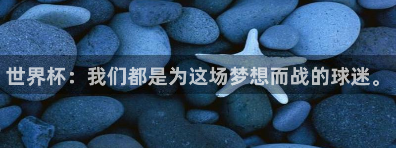 欧洲区世界杯预选赛:世界杯:我们都是为这场梦想而战的球迷。