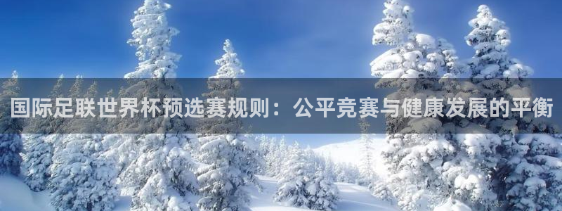 世界杯球队:国际足联世界杯预选赛规则:公平竞赛与健康发展的平衡