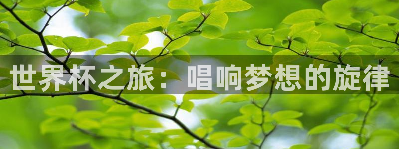 英格兰联赛杯直播:世界杯之旅:唱响梦想的旋律