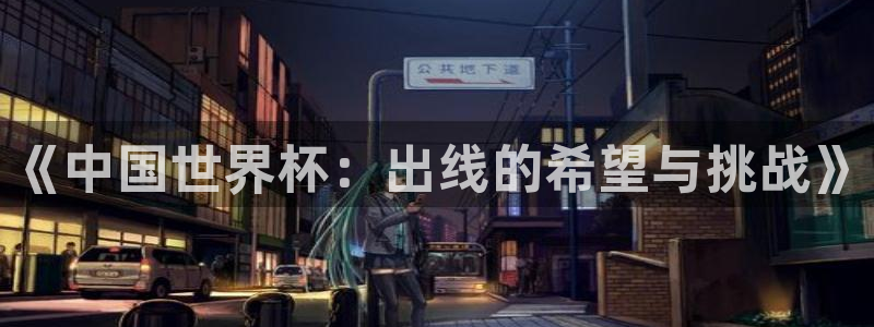 2026年世界杯直播平台:《中国世界杯:出线的希望与挑战》