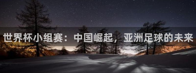 2026世界杯亚洲区预选赛:世界杯小组赛:中国崛起,亚洲足球的未来
